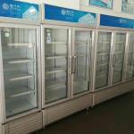 2 Glass Door Display Freezer Cabinet Air Cooled Blue Series Fresh Keeping
