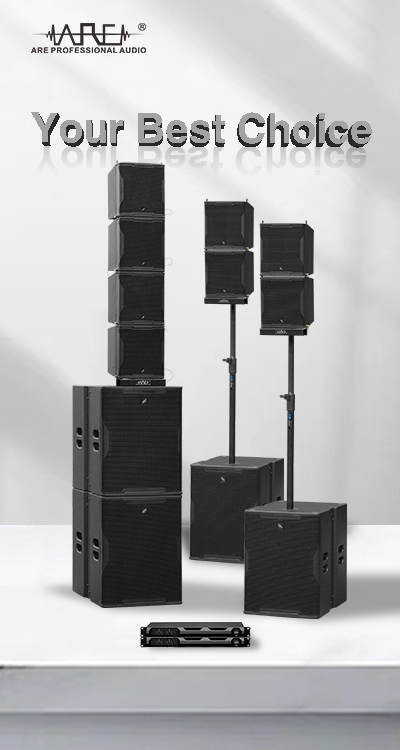 ARE Audio Line Array Speakers Passive Line Array with Eight Single 10" Full Range and Four 18" Bandpass Subwoofers
