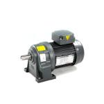 Helical Motors Medium Reduction Gear Motor Variable Speed