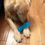 TPR Chewy Rubber Squeaky Balls Toys For Dogs Small