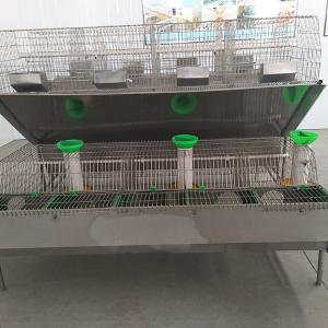 China Steel Wire Mesh Farm Rabbit Cage Hot Dipped Galvanized Surface 12 Mums Capacity factory