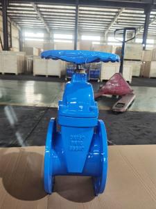 China Rising Stem Water Supply Gate Valve DN150 DIN3352/EN558-1 ODM factory