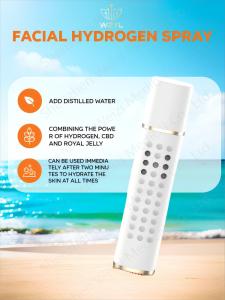 China 400MAH Battery Powered 15ml Hydrogen Mist Spray Deep Moisturizing factory