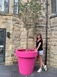 Large Resin Flower Vase Fiberglass Outdoor Pots Customizable Logo Size