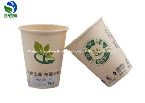 China Compostable PLA Laminated Hot Paper Cup 10 Oz Natural Coffee Take Away Cup factory