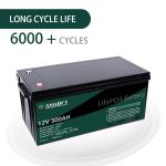 Golf Cart 12V Lithium Battery Pack Lifepo4 Battery 300ah For Cold Weather