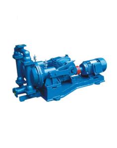 China Cast Iron SS304 Electric Diaphragm Pump Low Pressure 30m Head factory