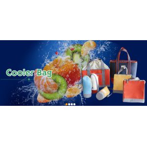 Double Bottle Insulation Breastmilk Cooler Bag Insulated Lunch,backpack beer