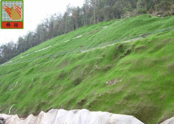 Reinforced Geomat For Erosion Control , Landscape Mesh Erosion Control 350 g /