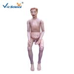 PVC Nature Size CPR Training Manikins Nurse Training Doll Male For Teachers /