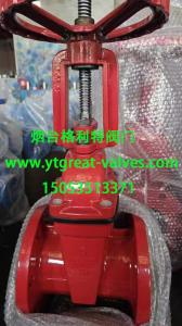 China (ANSI) Cast Iron Gate Valve Flanged Ends factory