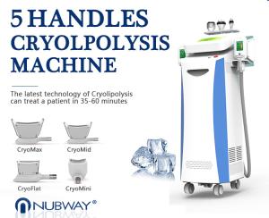 China 40% Off the most featured Cryolipolysis Slimming Product Green Vertical factory
