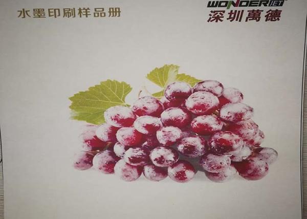 High Efficiency Industrial Digital Printing Machine For Corrugated Cardboard