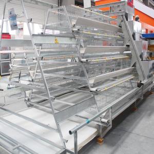 China A Type Layer Chicken Cage Installation Provide factory