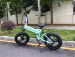 Adult 20 Inch Fat Tire Ebike SHIMANO 7 Speed Shifter 48v 500w 13Ah