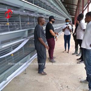 China A H Type Automatic Laying Chicken Poultry Farming Cage System In Africa Market Iris factory