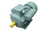 Squirrel Cage Single Phase Induction Motor , Single Phase Asynchronous Motor For