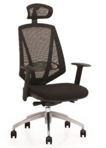 China New Design China Ergo Mesh Seating factory