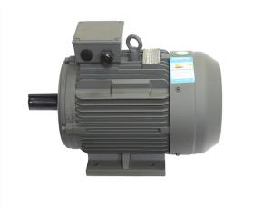 China Heavy Duty High Efficiency AC Motor , Three Phase Electric Asynchronous Motor factory