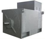 6300V High Voltage Brushless AC Generator 2000KW 6.3KV