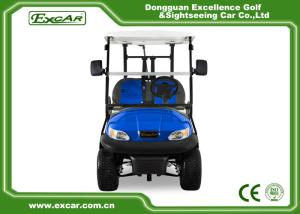 China Blue Color Mini Electric Golf Buggy 48V With Trojan Battery/Curtis Controller factory