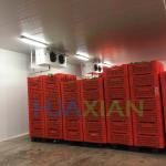 0 Celcius Walk in Freezer Chiller/Cool/Cold Storage Room Warehouse for Fresh