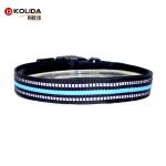 Adjustable Reflective Plain Nylon Webbing Neoprene Dog Collars For Safety
