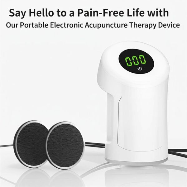 China Say Hello to a Pain-Free Life with Our Portable Electronic Acupuncture Therapy Device factory