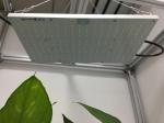 Indoor Qb288 Board 3000K Quantum Board Light