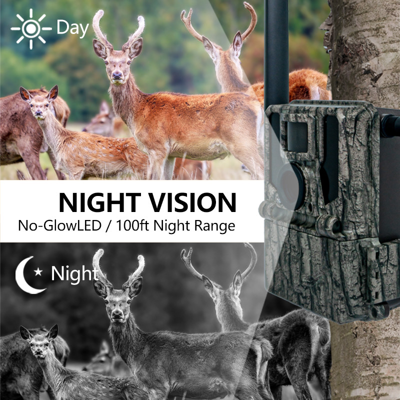 4G Trail Camera Photo Video 36MP Image Size 1-9 Capture Number 5s-60s Video Length