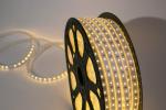 Multi Color LED Flexible Strip Lights 30leds -240leds Outdoor Decor AC120V