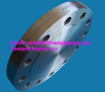 Carbon steel blind flanges manufacturer