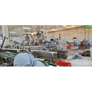 EXP Date Hot Ink Roll Coder 900 PPM 130W Batch Number Coding Machine