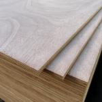 Furniture Hardwood Veneer Plywood 2440x1220x18mm Mildewproof