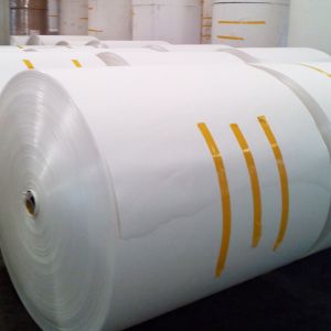 China importing paper cup , paper cup fan , base paper on sale