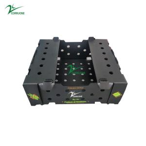 China Customizable Fruit Corrugated Boxes Flat Surface factory