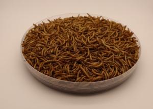 China Natural Flavor Dried Mealworms Fish Food For Feeding Pet factory