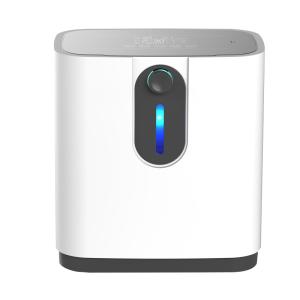 China Low Noise Medical Household Oxygen Concentrator For Kids Support OEM factory