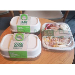 Disposable Bagasse Paper Plate Making Machine With PLC 1100*800mm