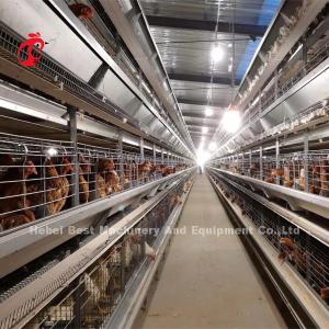 China H Type Automated Layer Battery Cage System With Free Drinkers Emily Wang factory