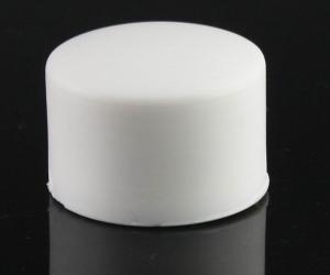 China PPR fitting plastic cap factory