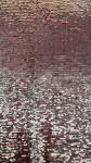 Luxury 100% Polyester Leafy Sequin Embroidery Fabric Shine Sequin Fabric