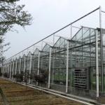 3mm 4mm Tomato Venlo Portable Glass Greenhouse Roof And Side Ventilation Control