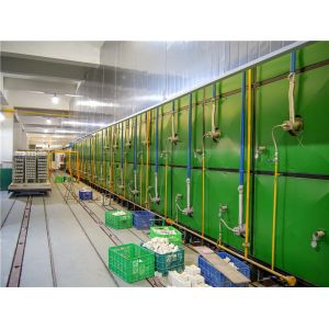 Efficient Masonry Tunnel Kiln High Automation For Dry And Burn Bricks