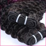 8A Cambodian Remy Virgin Hair Bundles Black Kinky Afro Curly Human Hair Weft