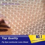 PLASTIC LENTICULAR clear pp microlens film dot lenticular sheet for 3d LED