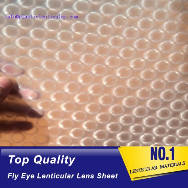 PLASTIC LENTICULAR PP materical 3d Fly eye lenticular film sheet with small dots