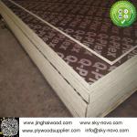 Black film faced plywood /formwork/shuttering boards