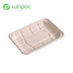 Eco Sustainable Vegetable Party Biodegradable Trays For Food Sugarcane Bagasse