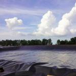 0.5mm Geomembrane for Agriculture Film Pond Liner Made of High Density